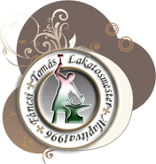 Vaskovácsolás - Fáncsi Tamás